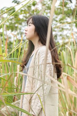 仙逆动漫在线播放完整版高清